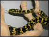 F JCP #1