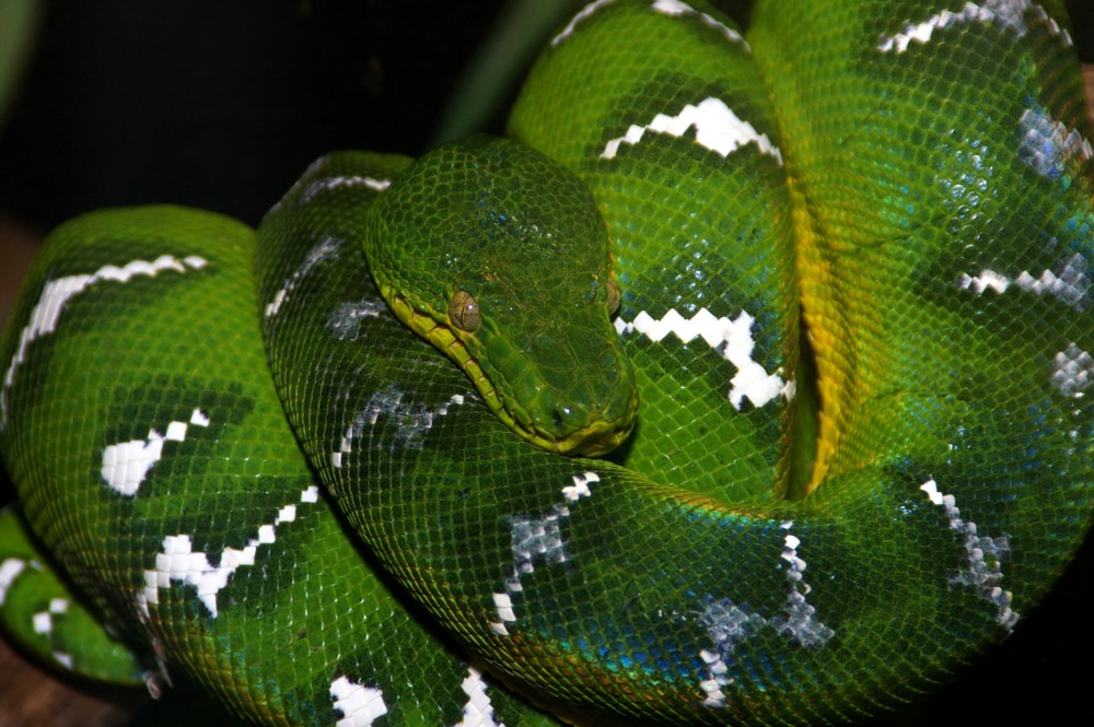 etb at zoo