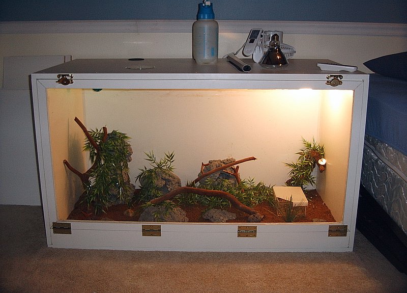 Leoprd Gecko Housing