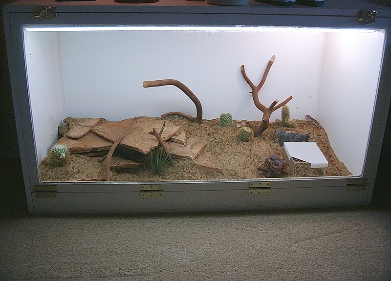 New rocks