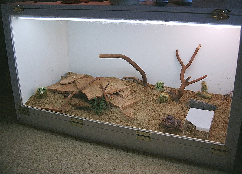 different angle