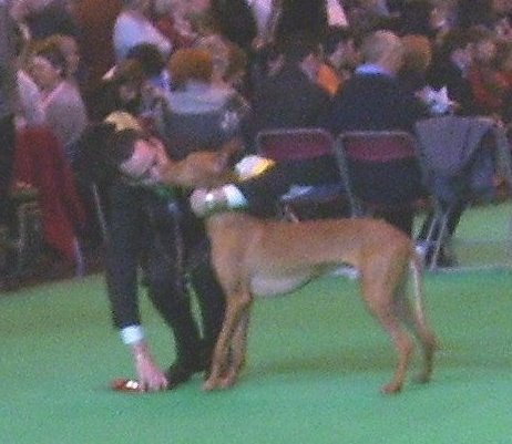 Crufts the kiss