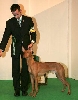 Mellon Crufts Group 4