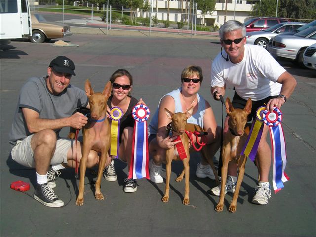 IWHC LC Pharaohs