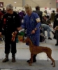 Herning DK BOB Zara