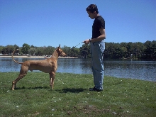 kalel lake3
