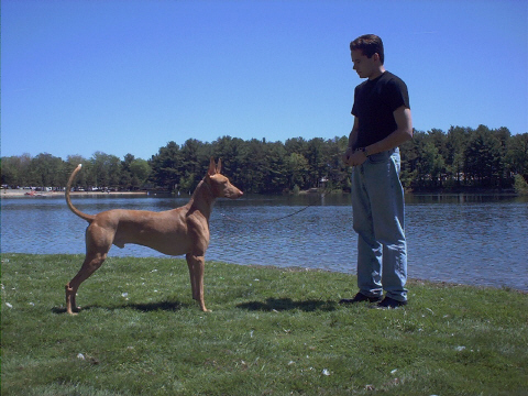 kalel lake 4