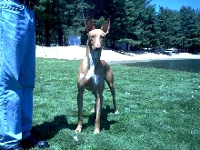 kalel front8
