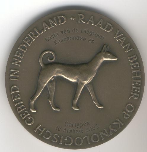 NL Group 1 medal