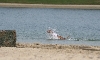 Rave Swin Ronostrand