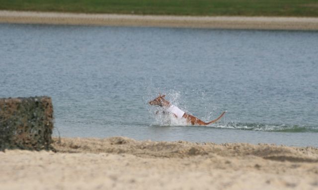 Rave Swin Ronostrand
