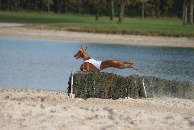 Sanna Ronostrand jump