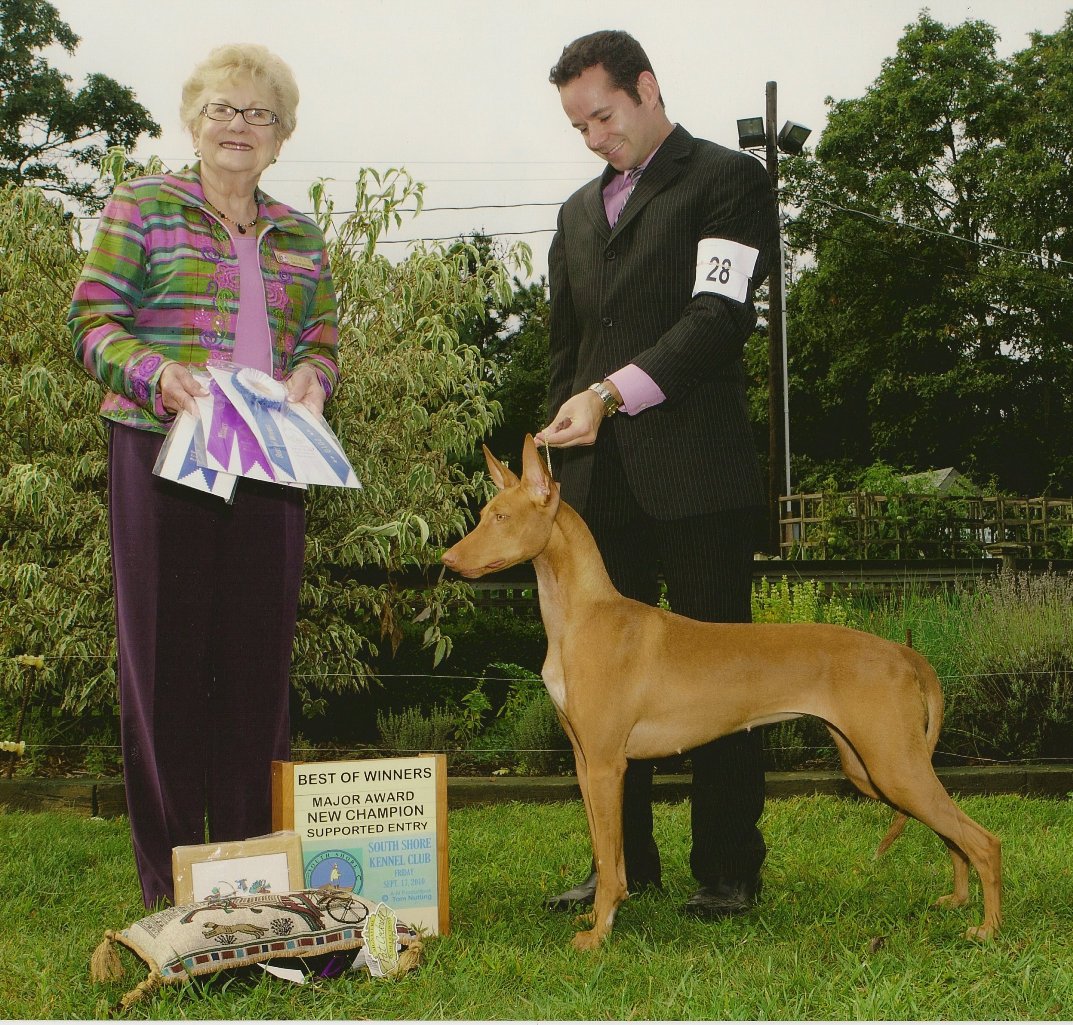 PHCA Support 2010-Osiris Making Headlines