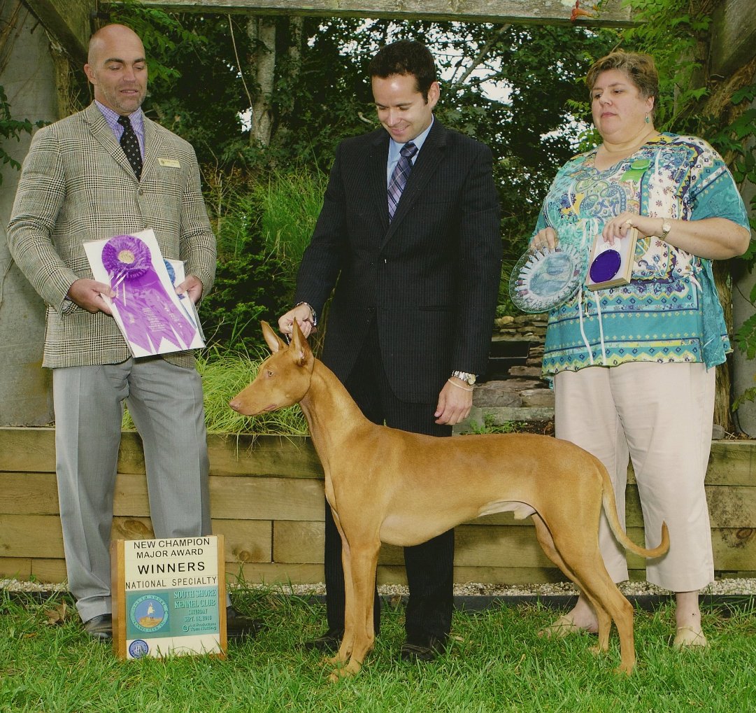 Winners Dog PHCA 2010 National - XO Rudamun
