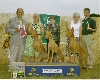 XO Breeders Group