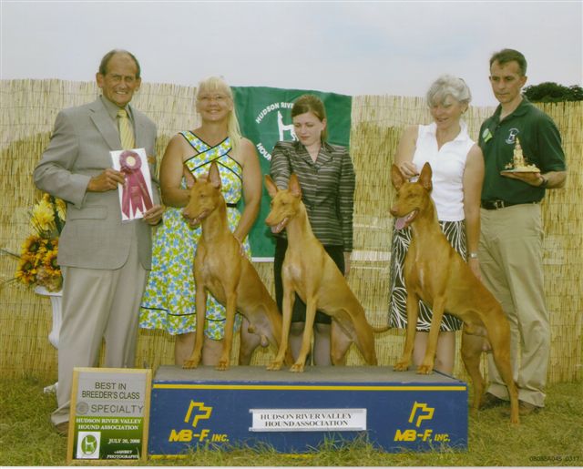 XO Breeders Group