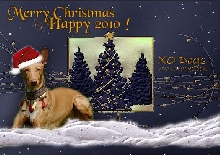 XO Xmas 2009