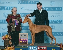 XO Rudmun WD 12Nov09