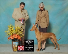 XOs Imperial New Champion