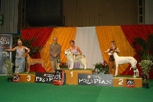 Liege Belgium Group 5