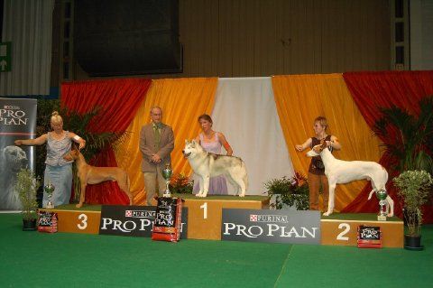 Liege Belgium Group 5