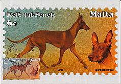 Kelb Tal-Fenek