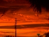 suns3