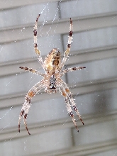 Can you help Identify??