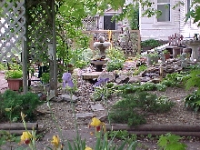 pond 2004