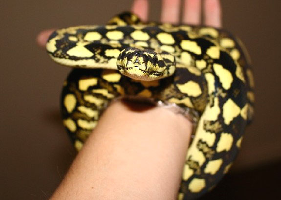 sally's getting bigger