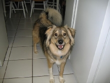 Kaya's a happy girl