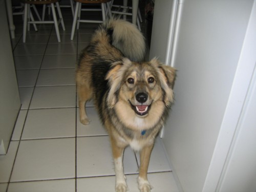 Kaya's a happy girl