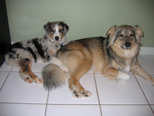 Kaya and Nico