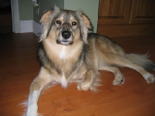 Kaya posing
