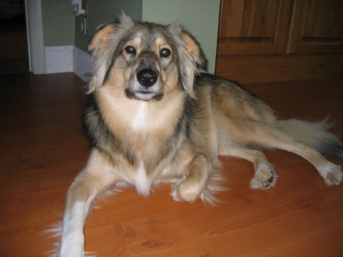 Kaya posing
