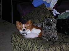 the  boys