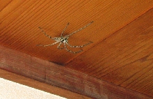 Found in Japan; any ideas?