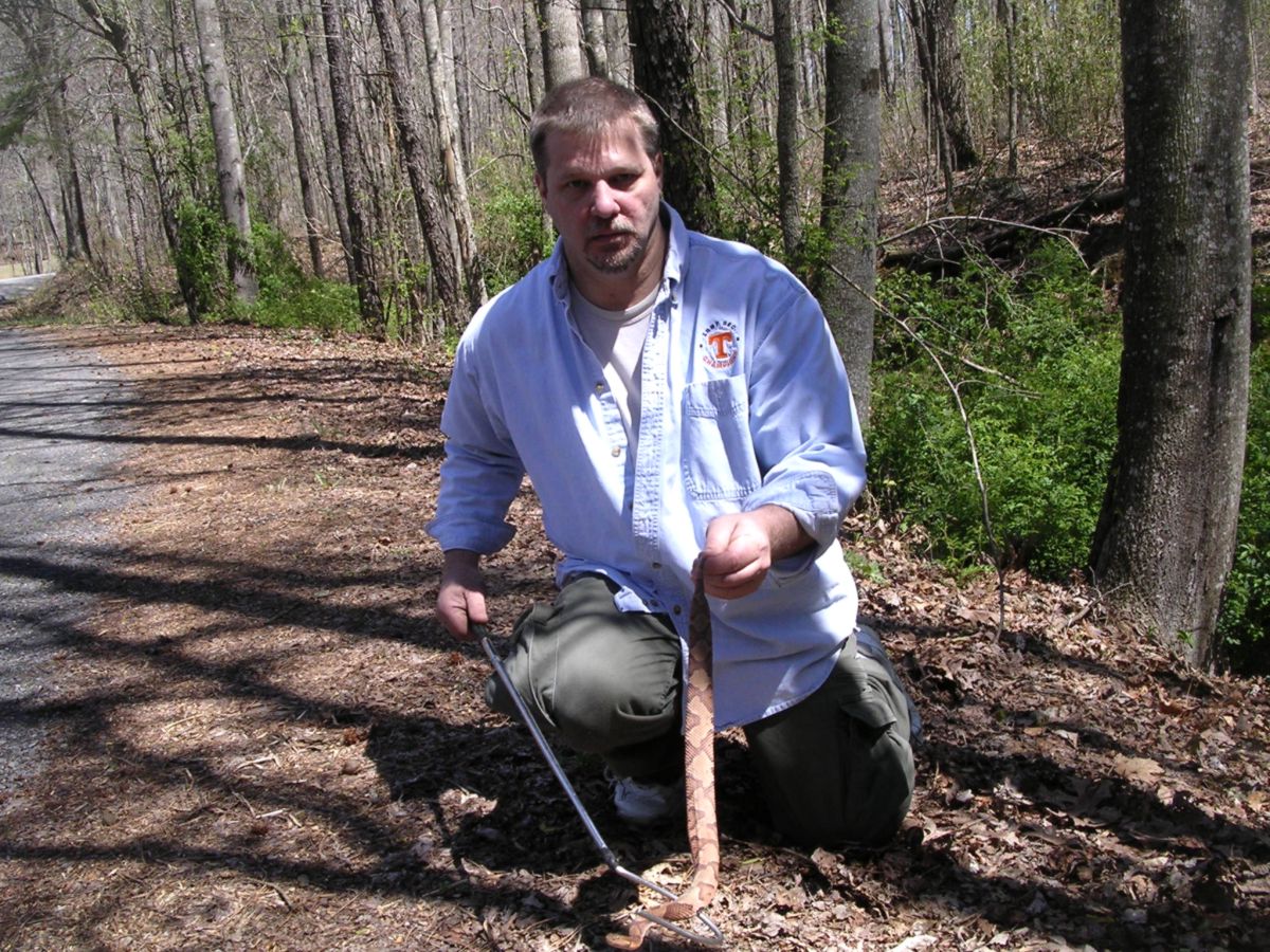 me with copperhead