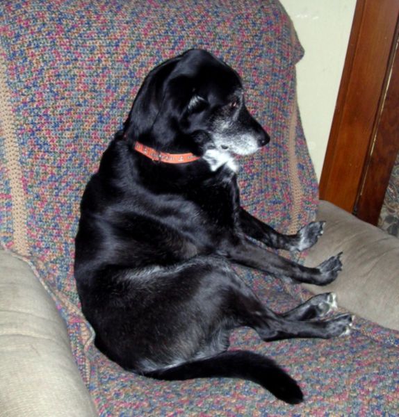 Sam lounges