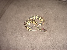pastel male 3