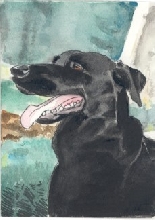 Colby-His smiles lives on!