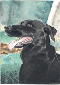 Colby-His smiles lives on!
