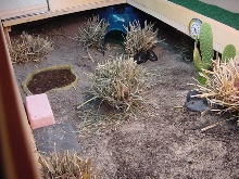 "sterlings" tank 2