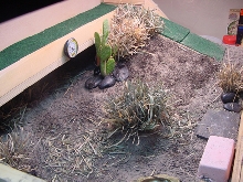 "sterlings" tank 3