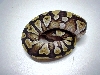 mojave clean