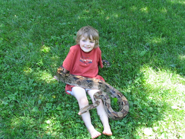 ROMEO AND KREED SITTING IN YARD