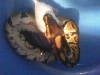 helena eatin again