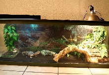 luce's setup