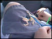 Wilson's first picture