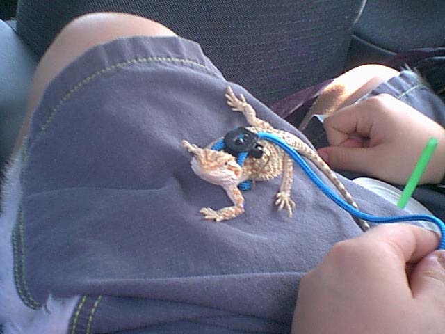 Wilson's first picture